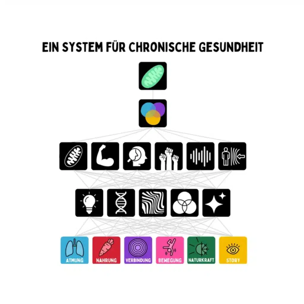 Chronische Gesundheit – Systemische Ansätze bei MOJO